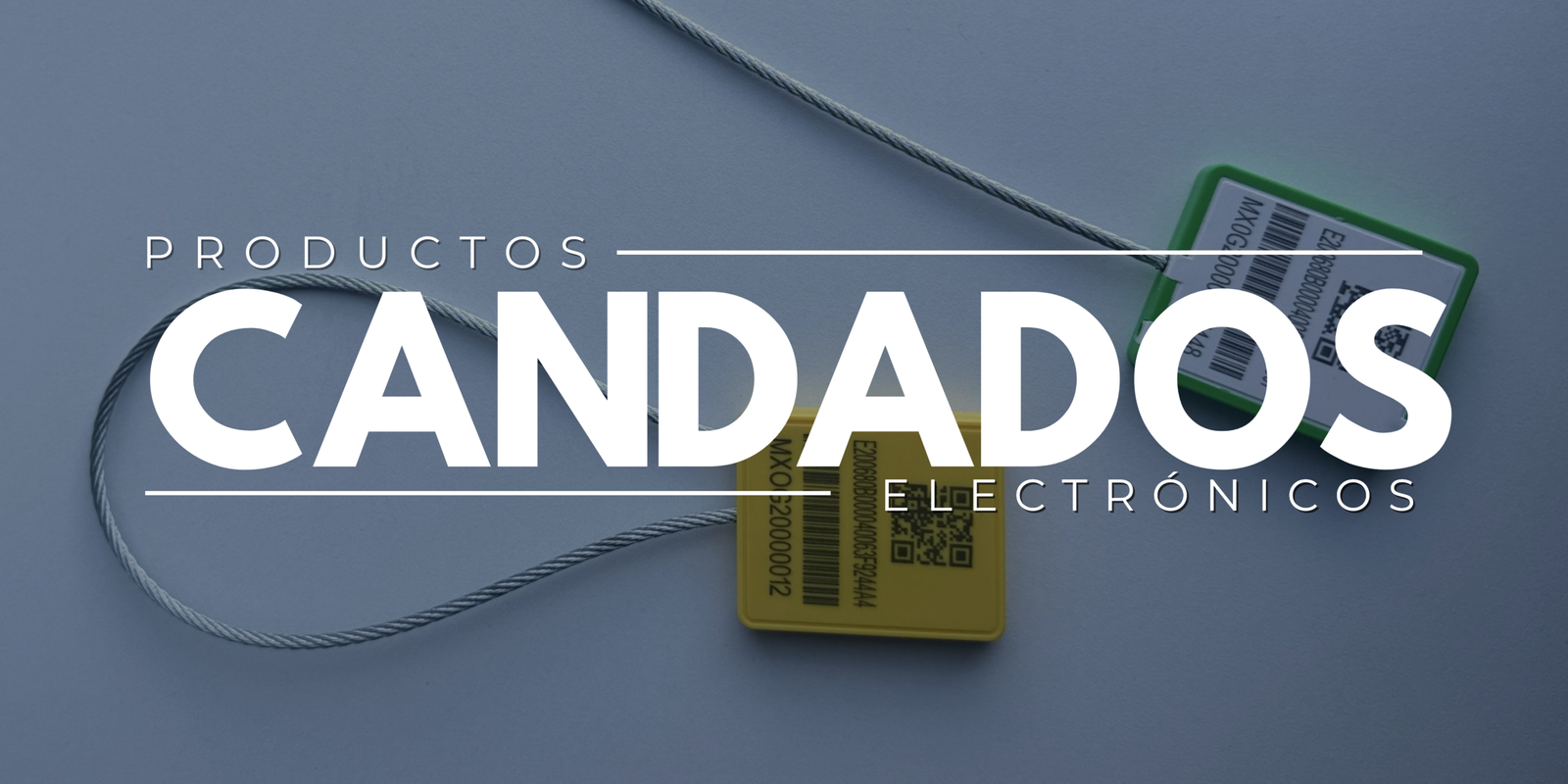 GSIPSA - Candados Electrónicos