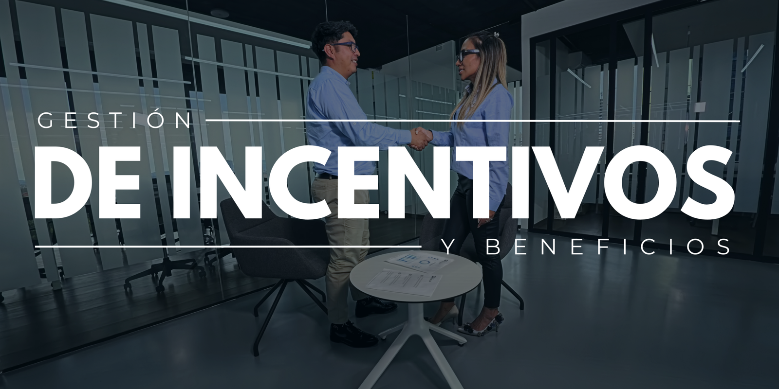 GSIPSA - Gestión de Incentivos y Beneficios Aduaneros