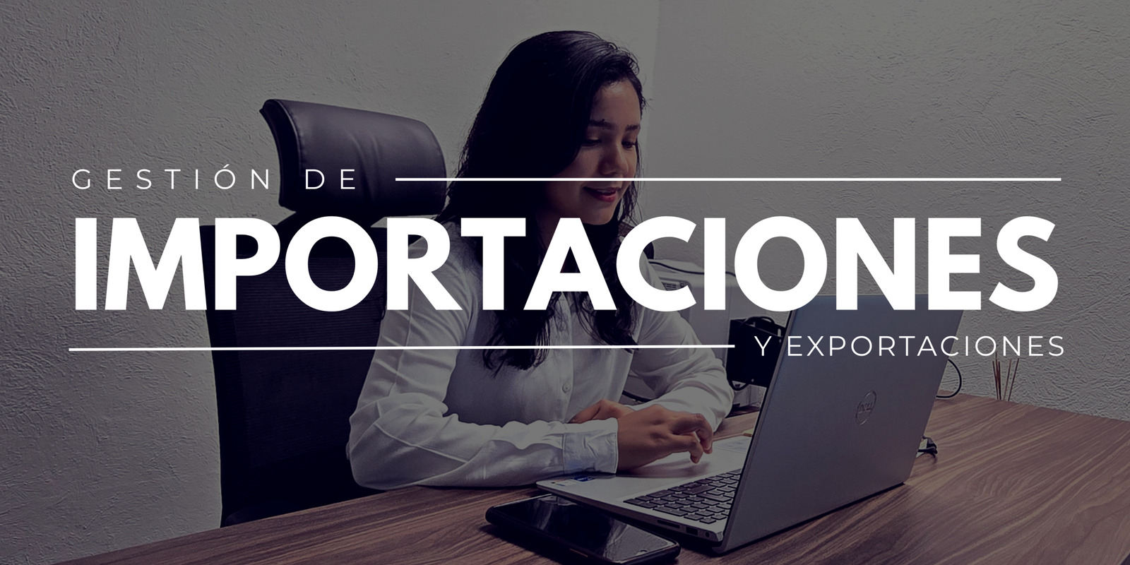 GSIPSA - Gestión de Importaciones y Exportaciones